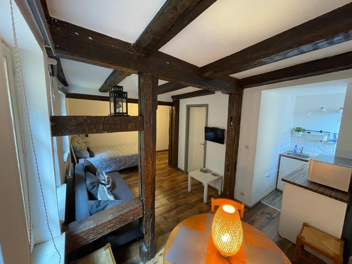 شقة Historical Town Center Cosy Flat كولمار المظهر الخارجي الصورة